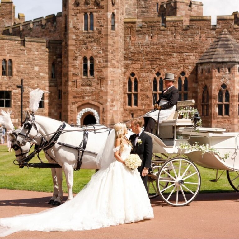 Bride & groom with horses